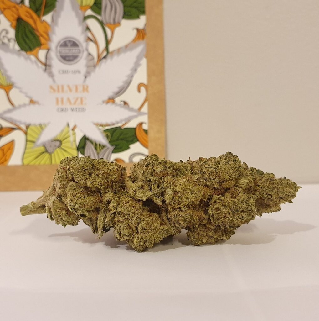Silver Haze weed cbd